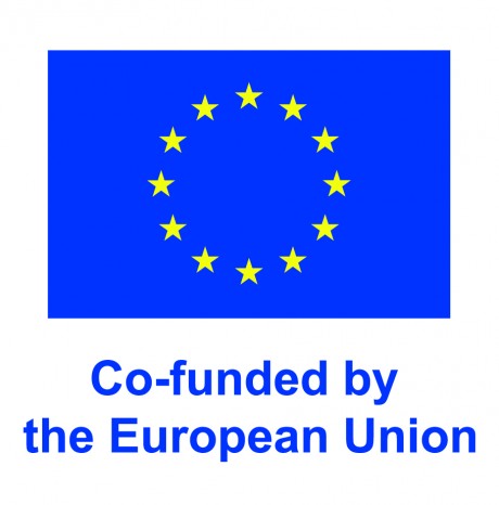 en-v-co-funded-by-the-eu_pos